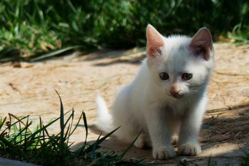 APPѹرգҪûһ˵Ļᡱ